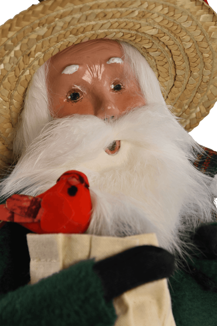 Santa with Cardinals