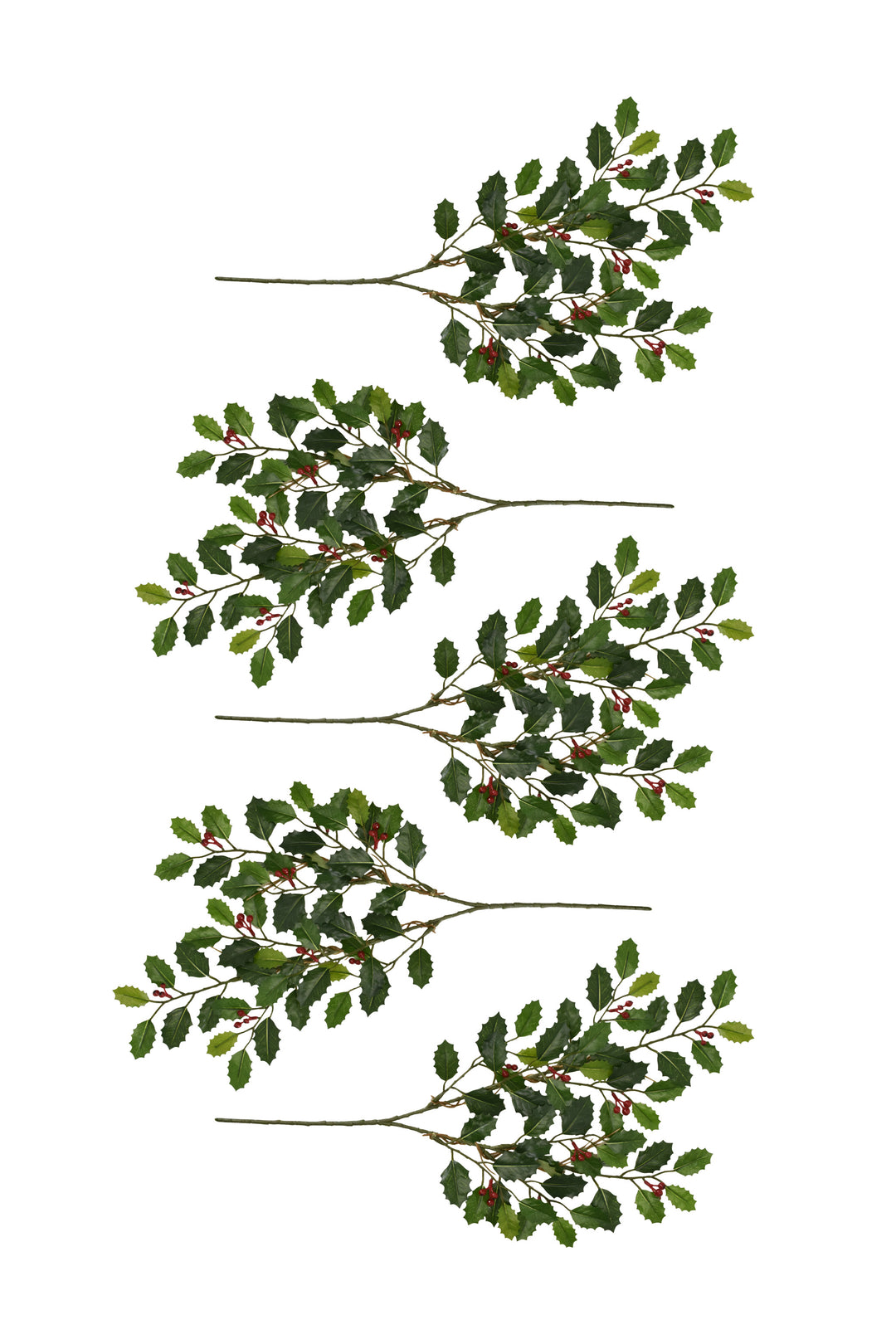 Bunch of Holly - 5 Sprigs