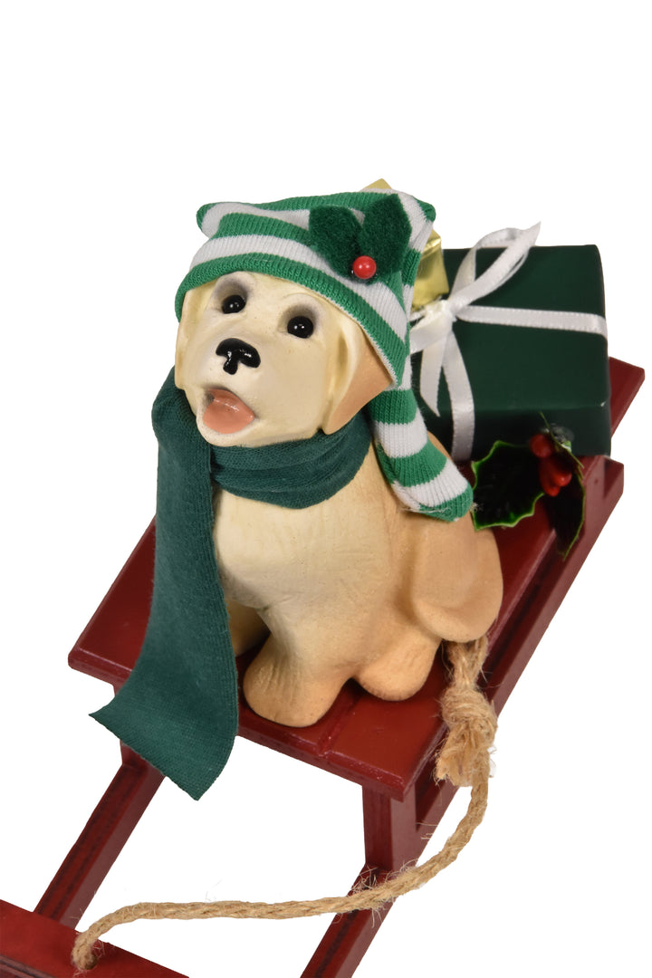 Dog with Sled