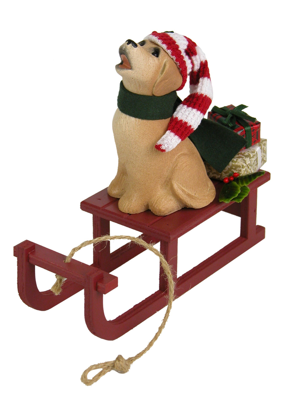 2021  Dog w/ Sled