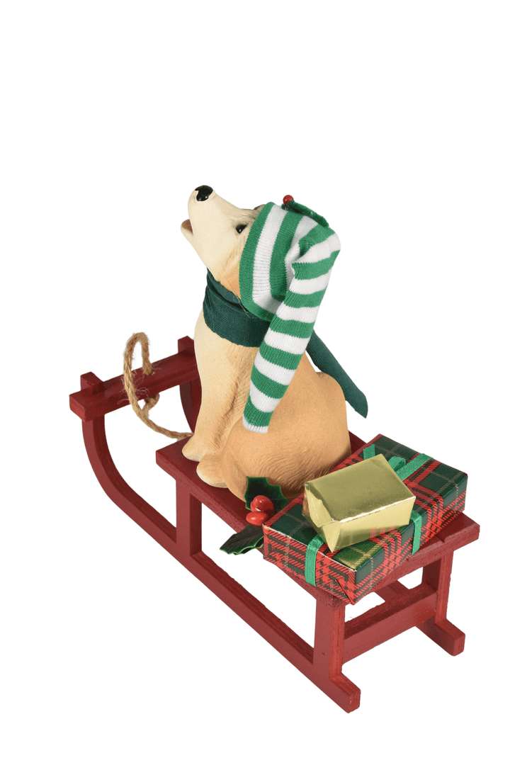 Dog with Sled