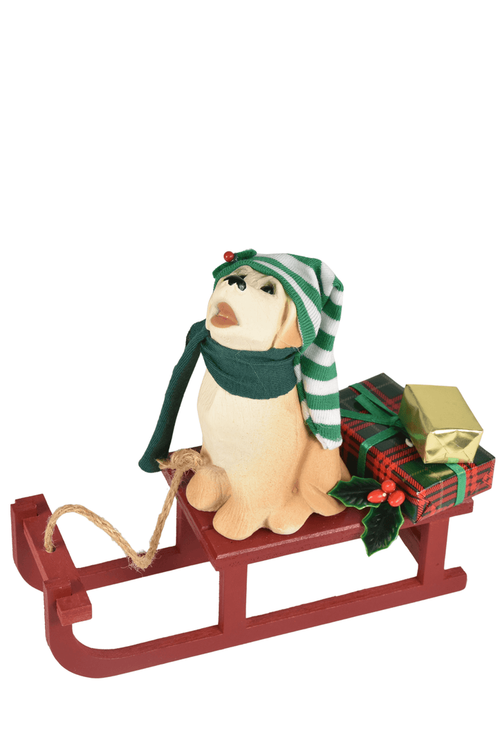Dog with Sled