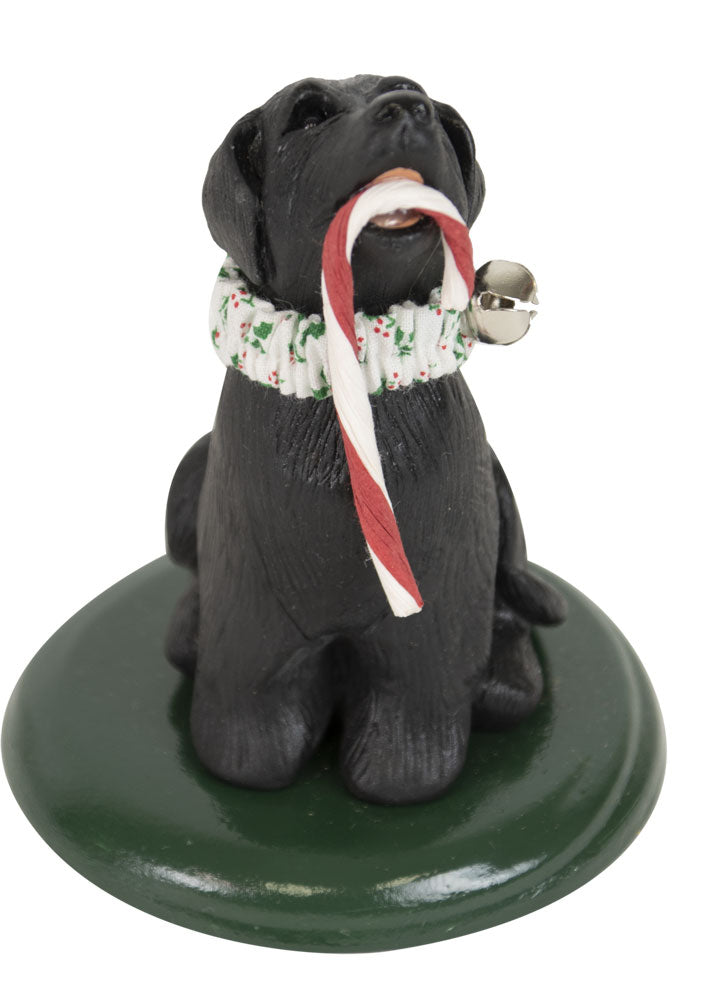2022  Black Labrador