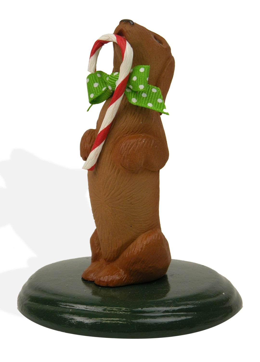 2022  Dachshund
