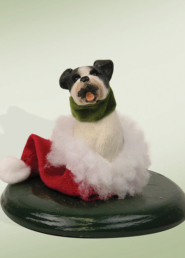 2022  Boston Terrier