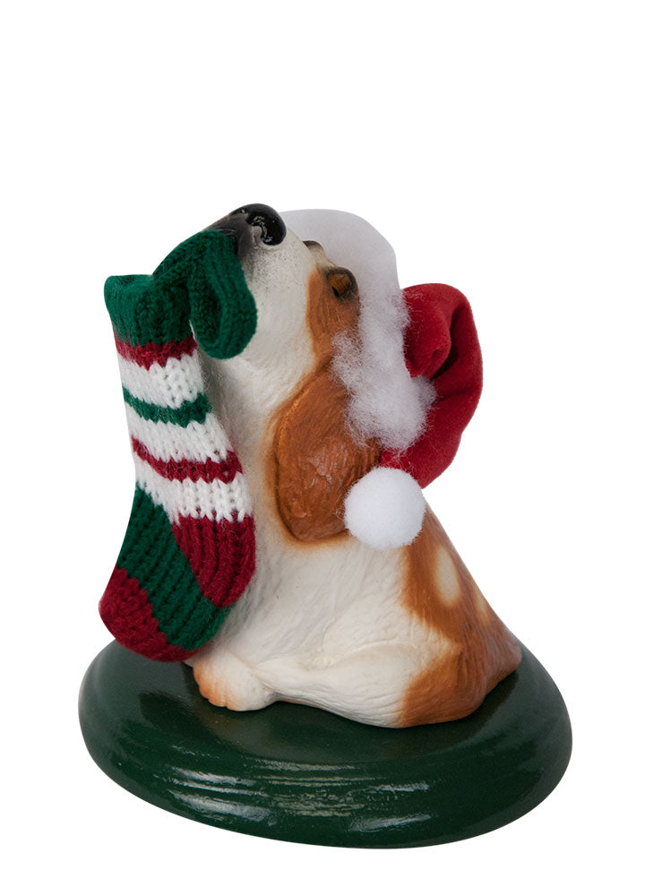 2022  Basset Hound