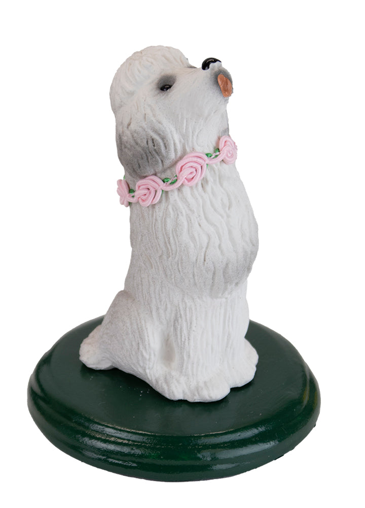 2021  Poodle