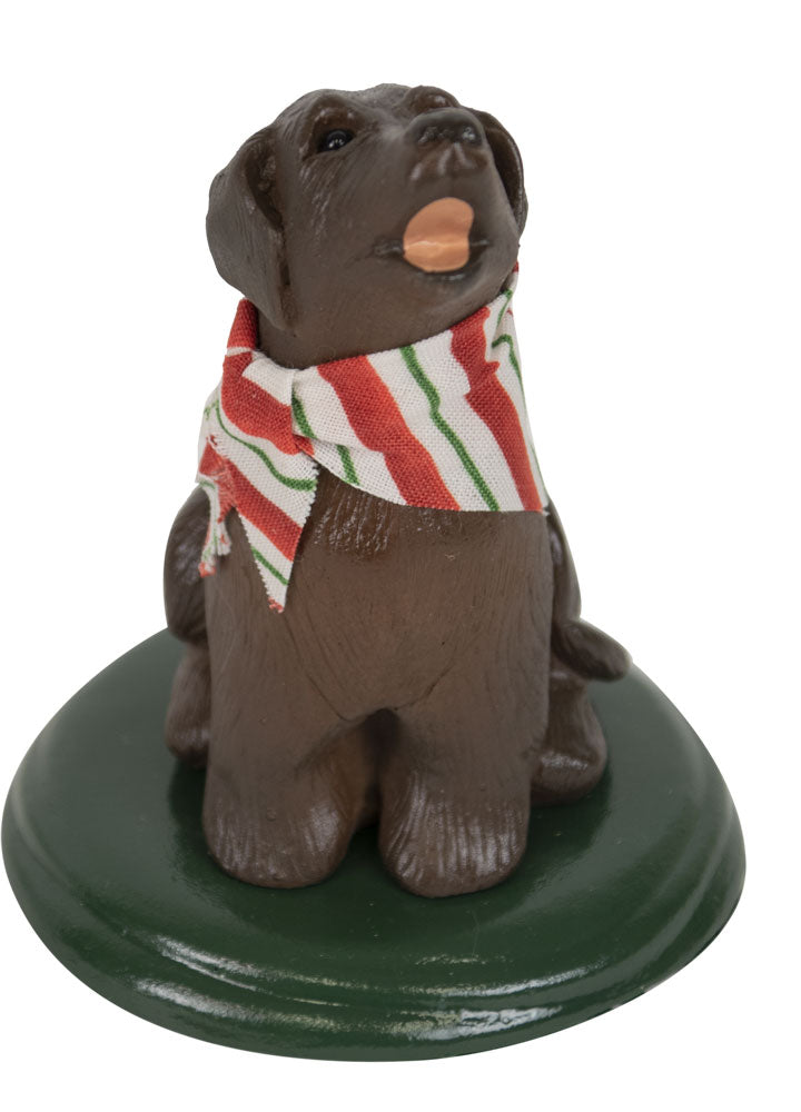 2022  Chocolate Lab