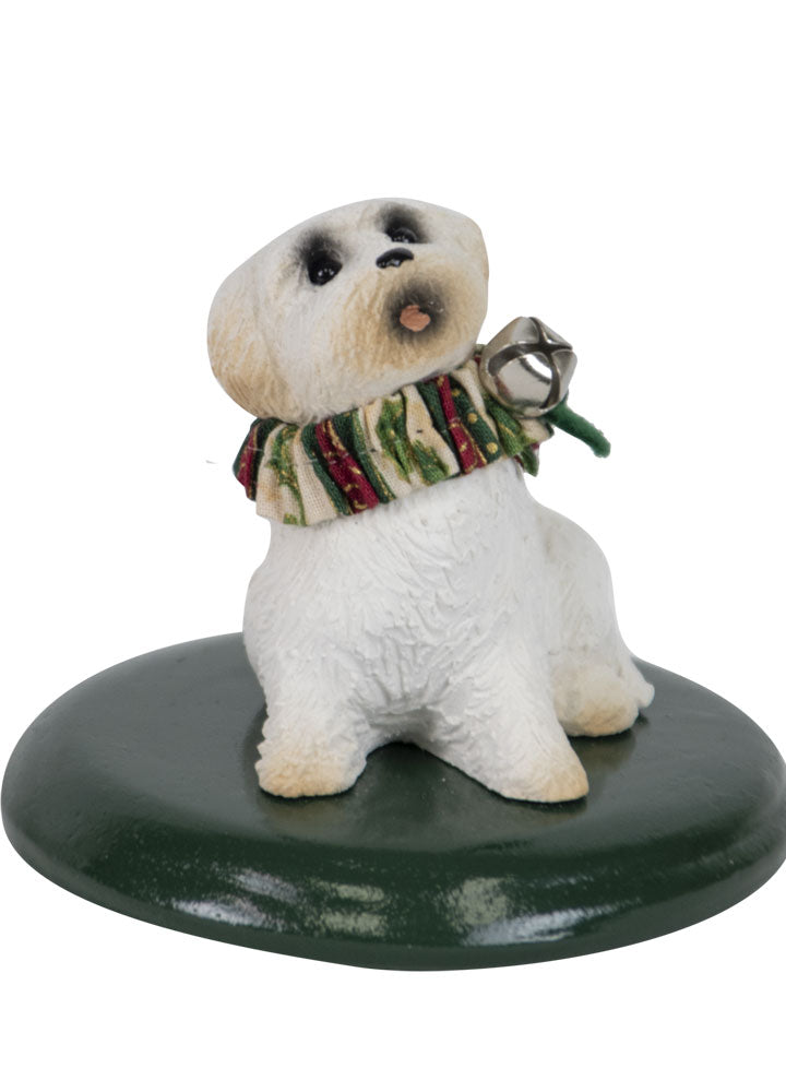 2022  Bichon