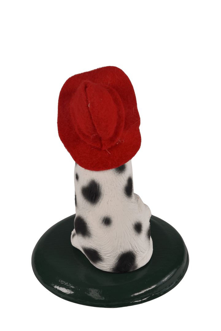 Dalmatian Dog
