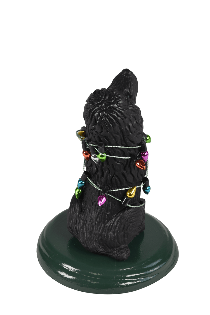 Black Poodle