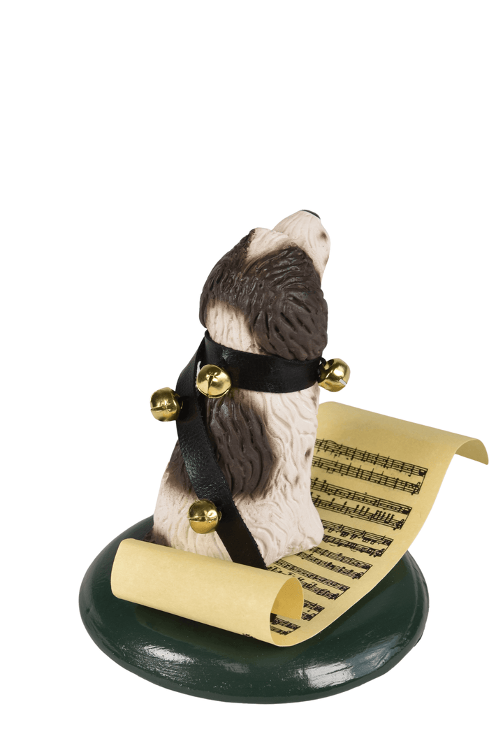 Border Collie with Music