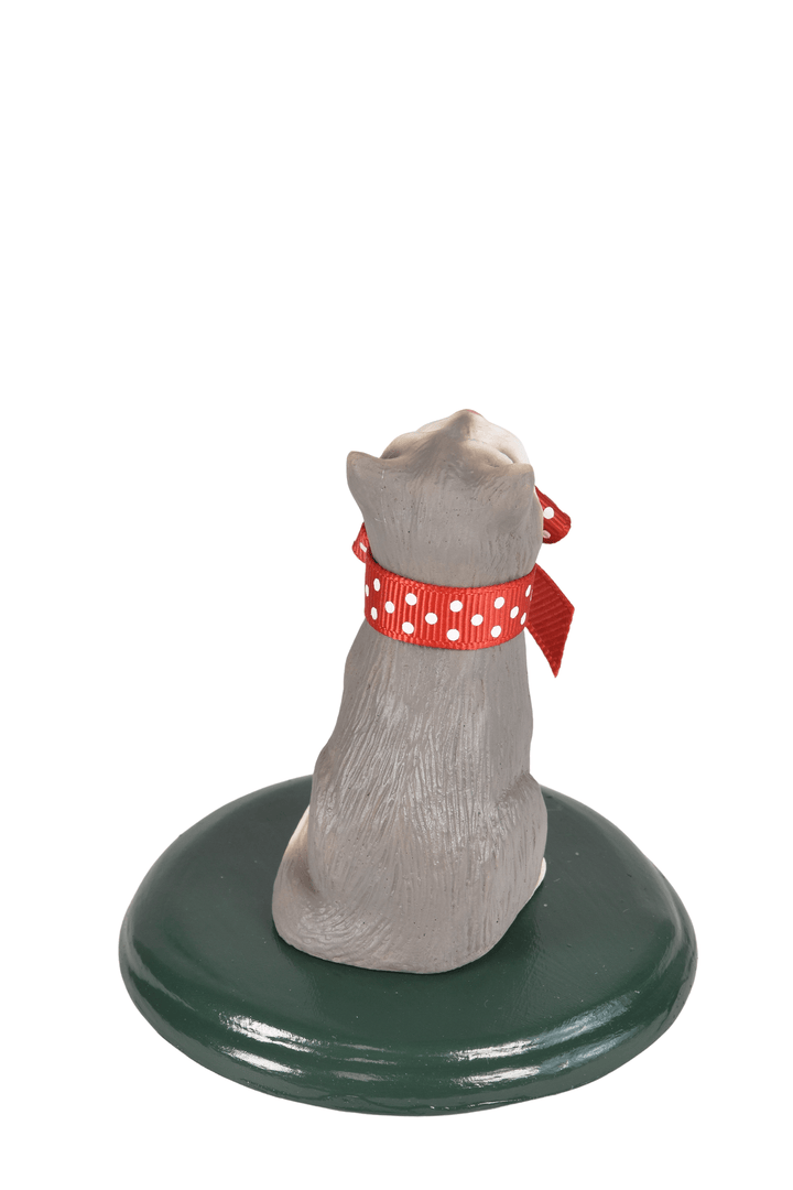 Grey & White Cat