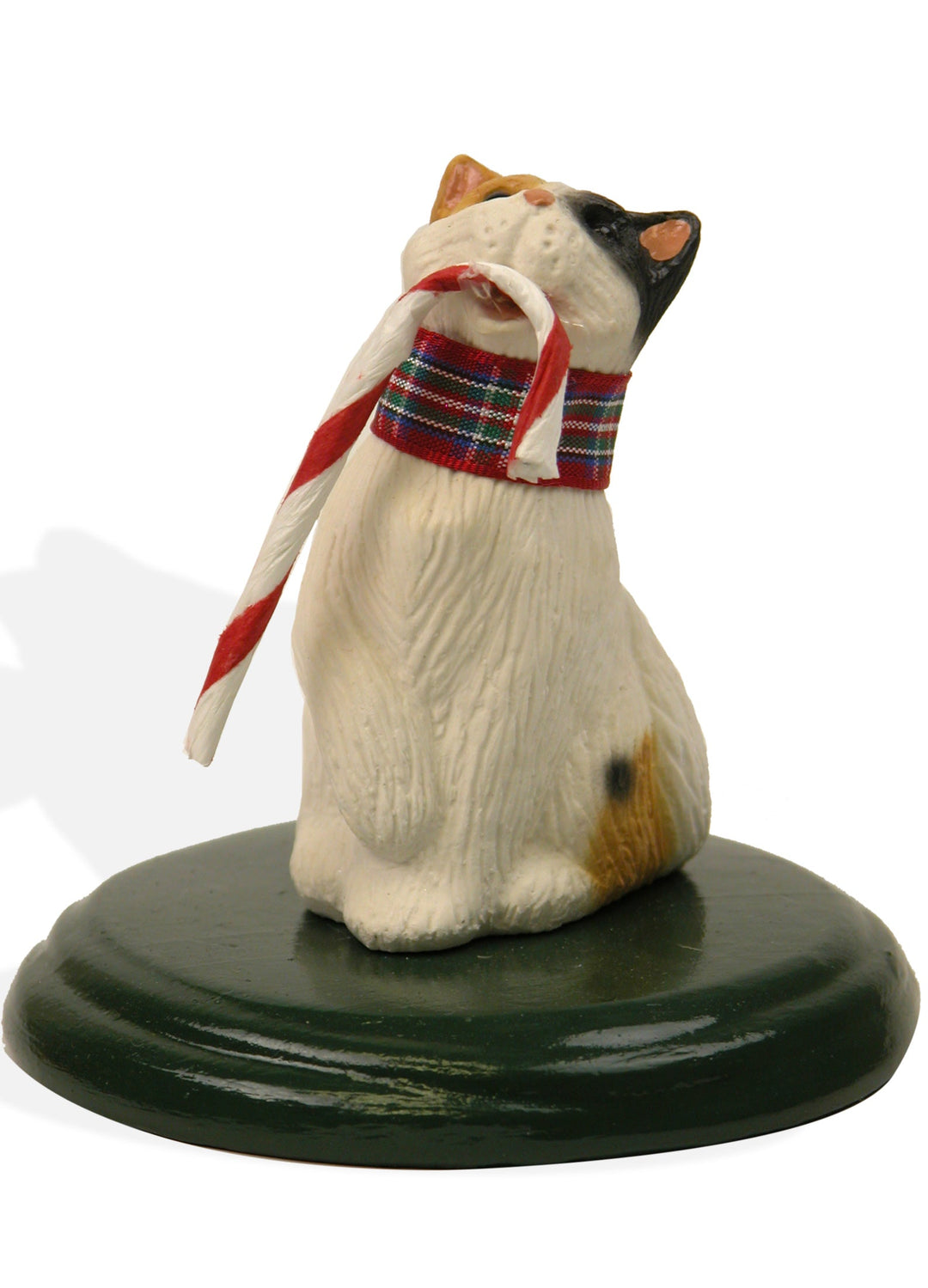2022  Calico