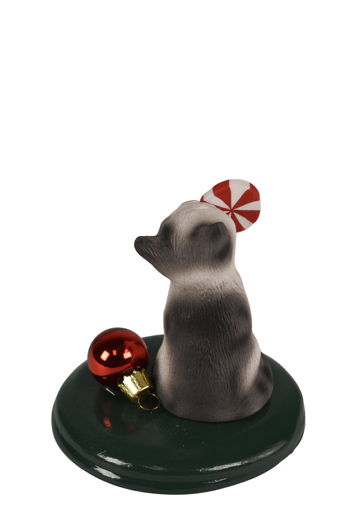 Cat with Sweets