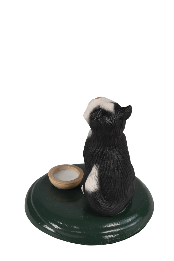 Tuxedo Cat