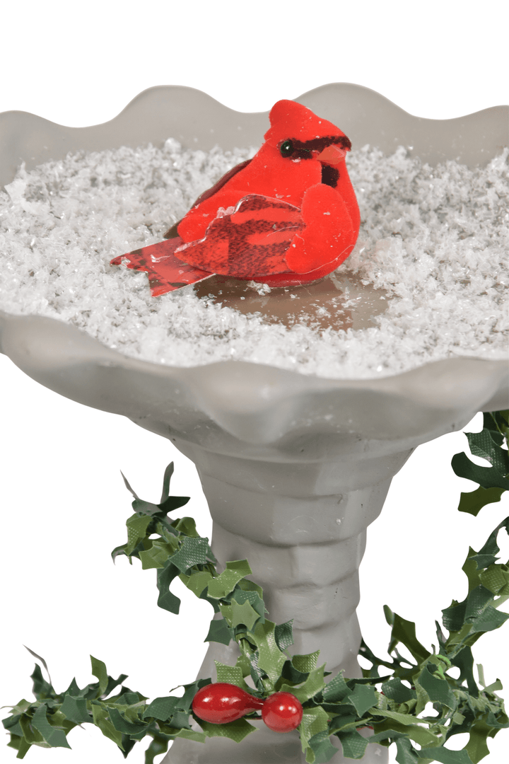 Bird Bath
