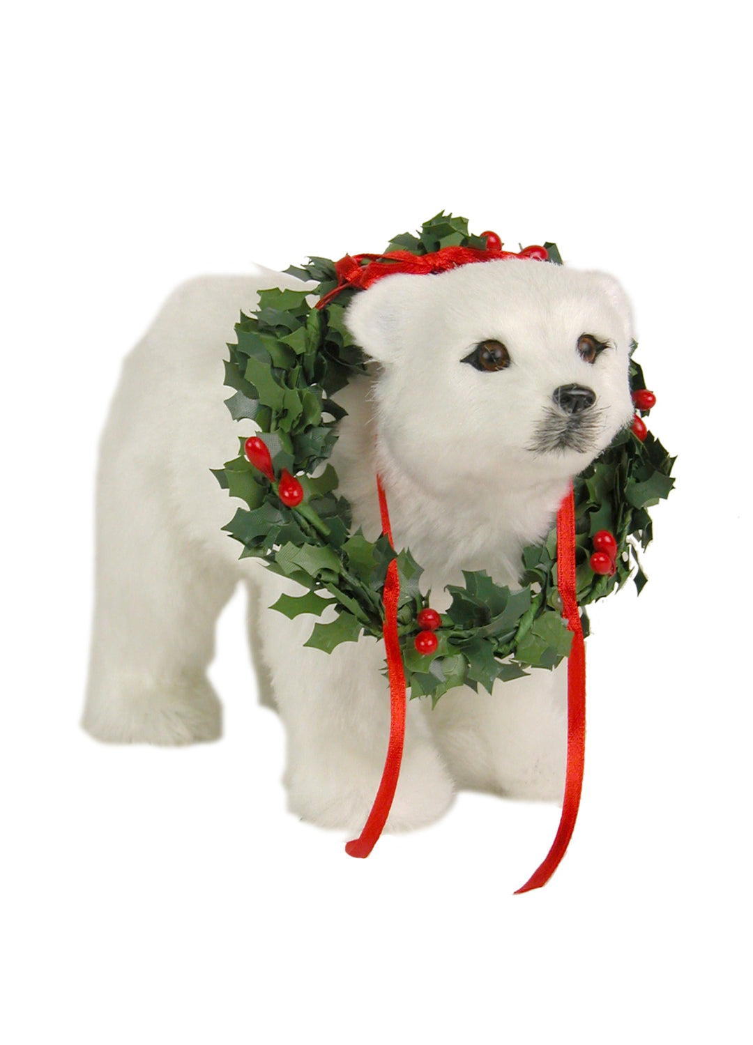 2024  Polar Bear