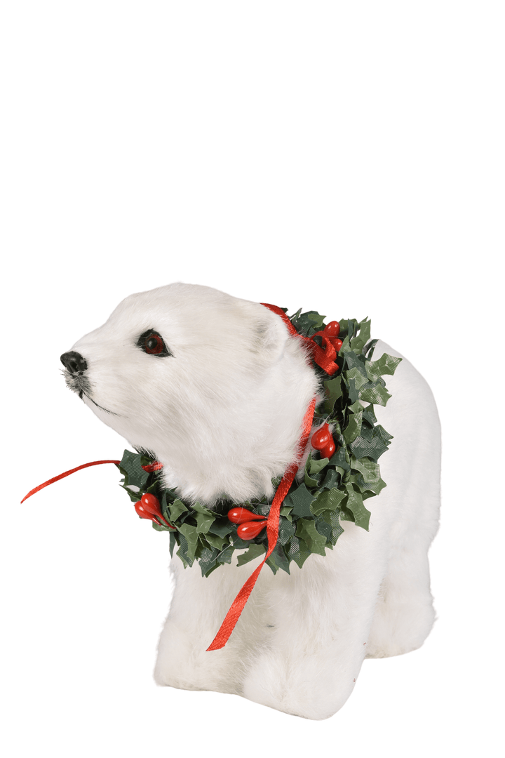 Polar Bear