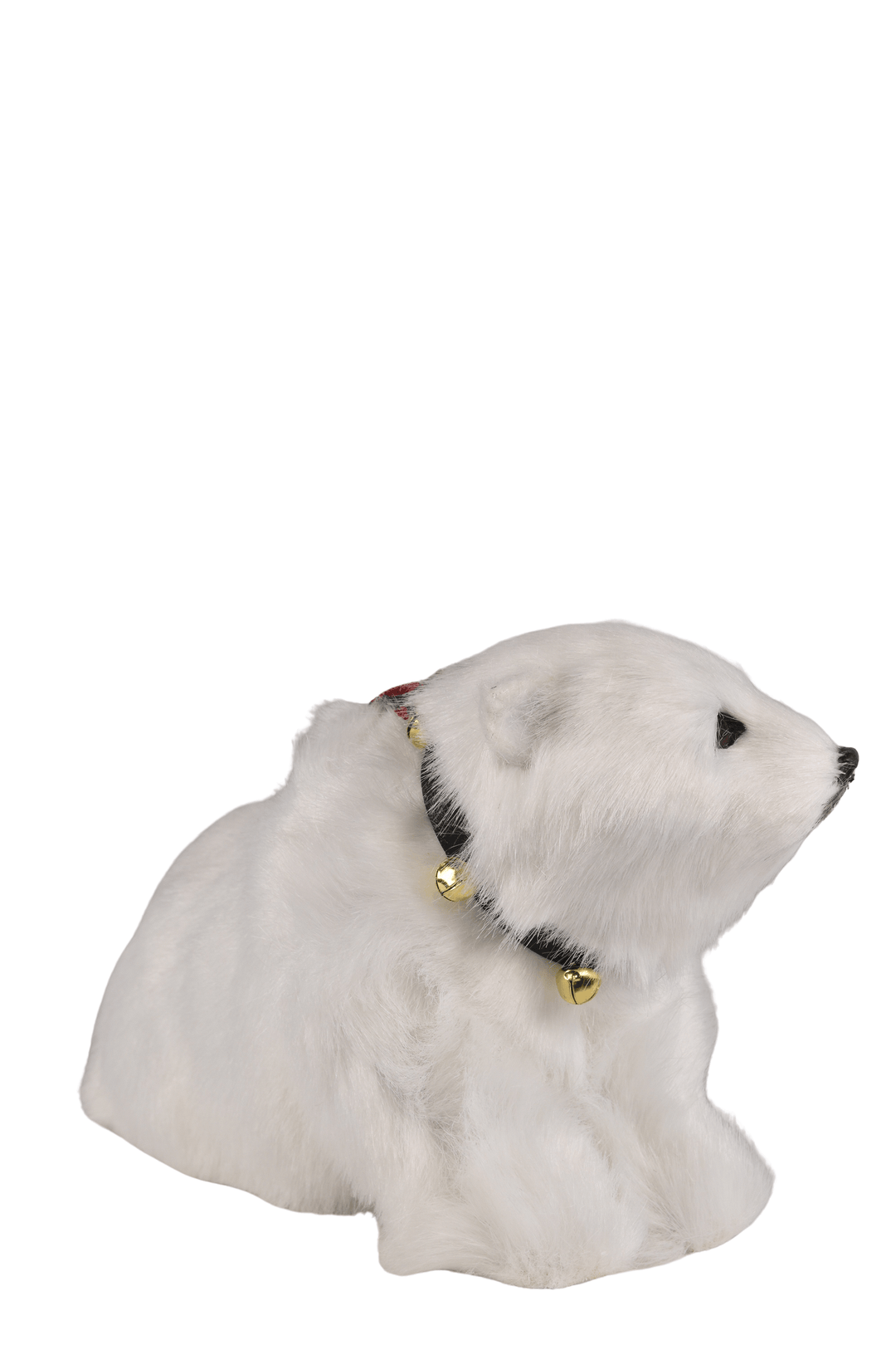 Seated Polar Bear