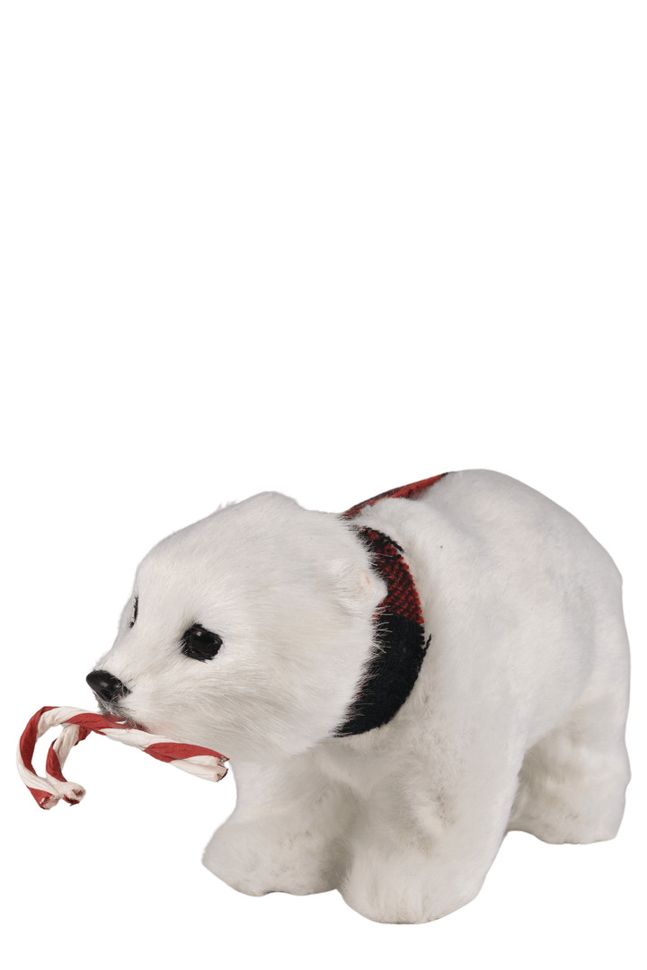 Polar Bear with Candy Cane