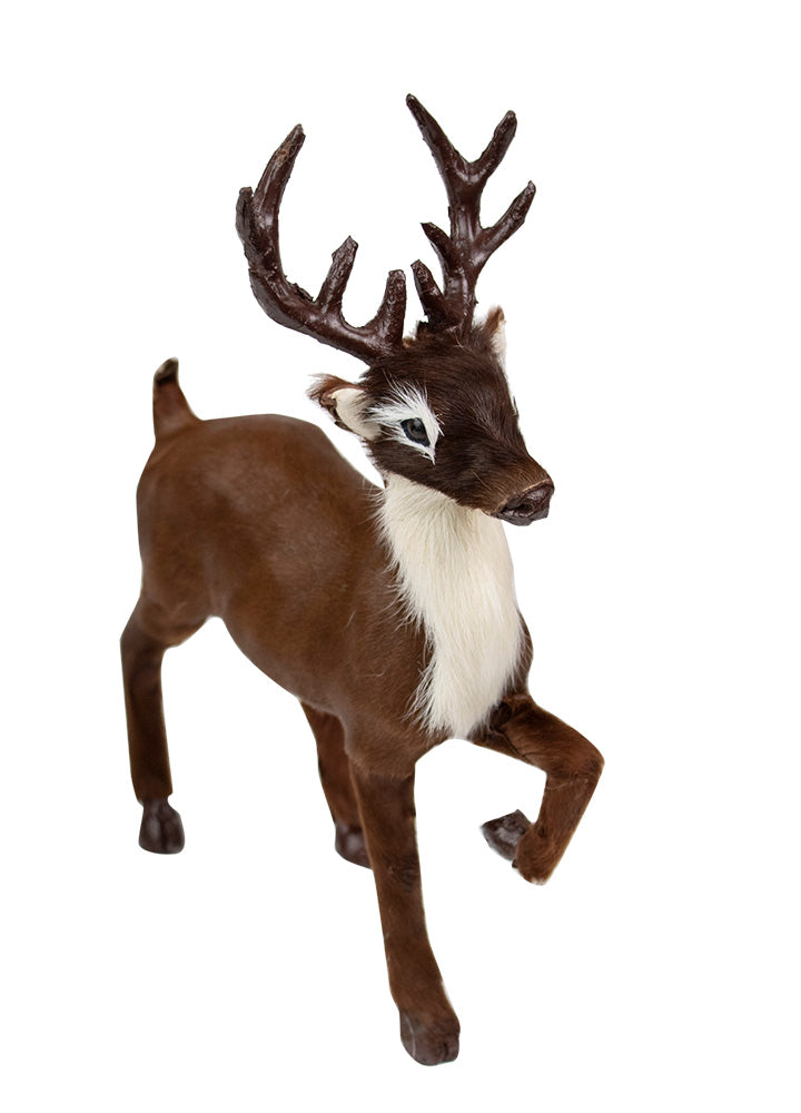 2024  Reindeer