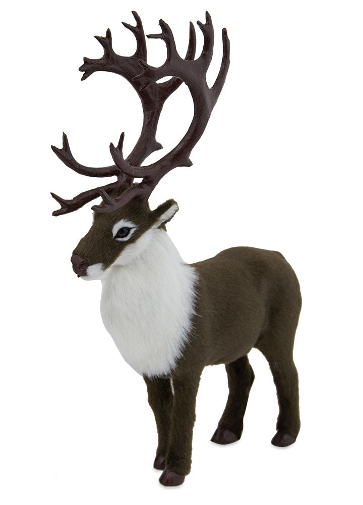 2024  Caribou