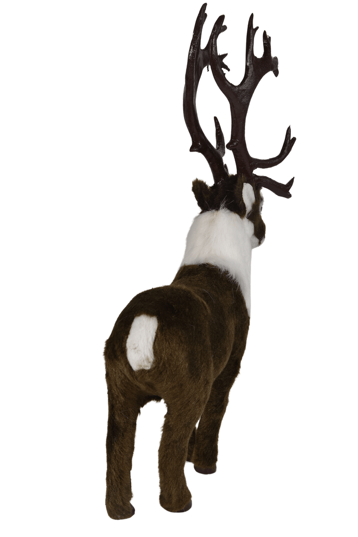 Caribou