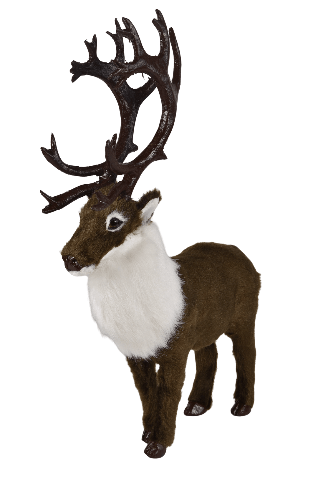 Caribou