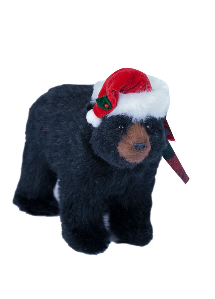 2021  Black Bear Walking