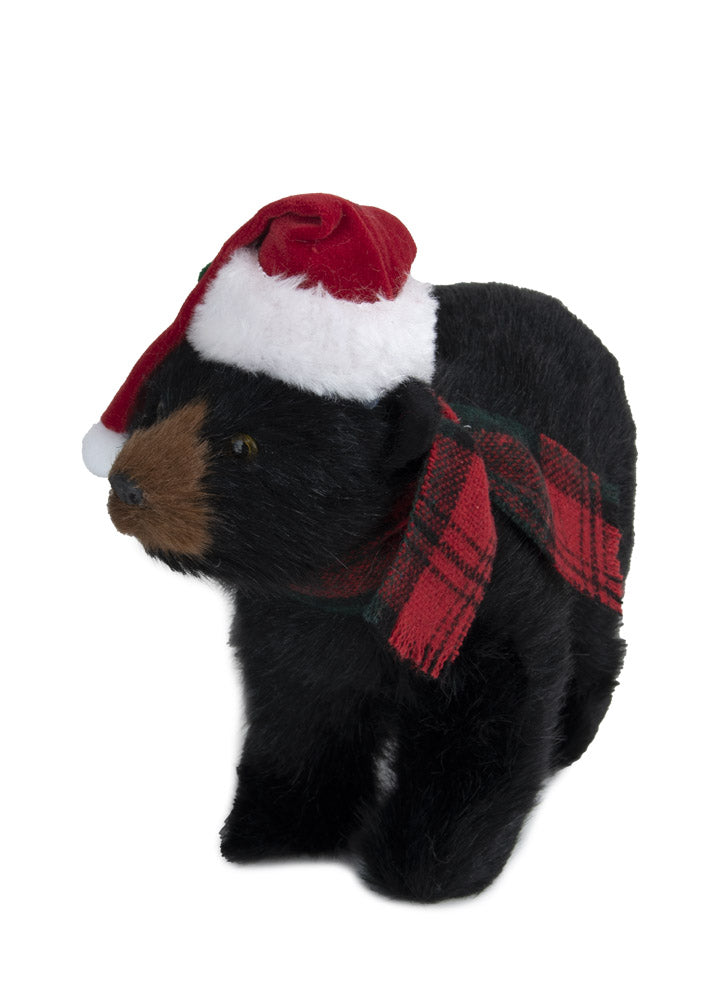 2024  Black Bear Walking