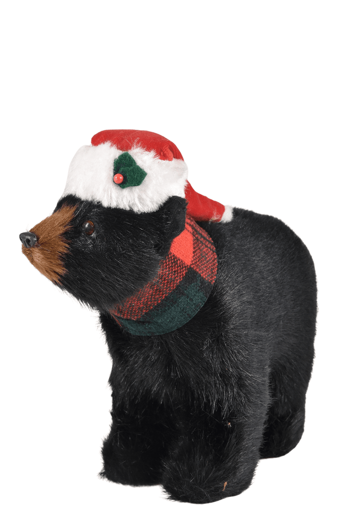 Black Bear Walking