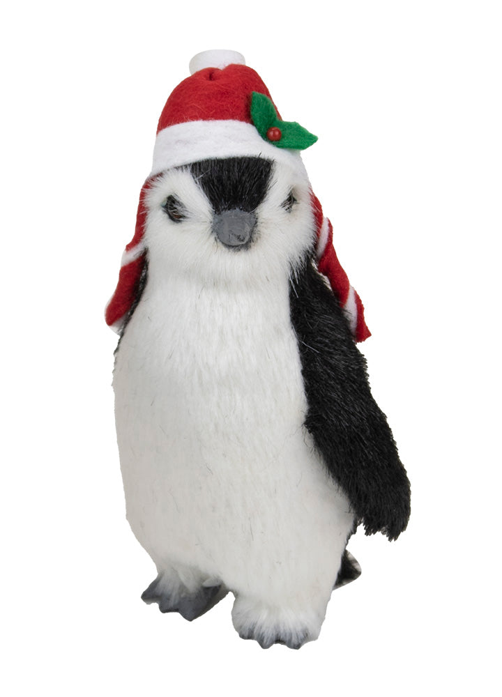 2021  Penguin