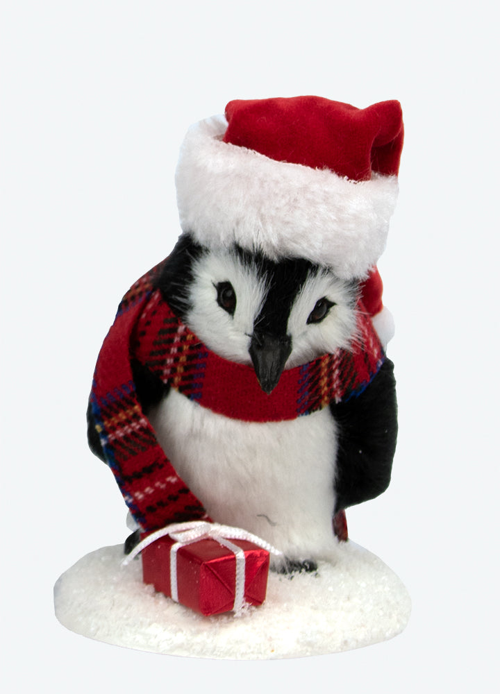 2024  Penguin w/ Package
