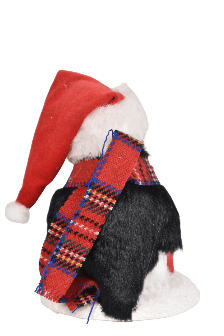 Penguin with Package