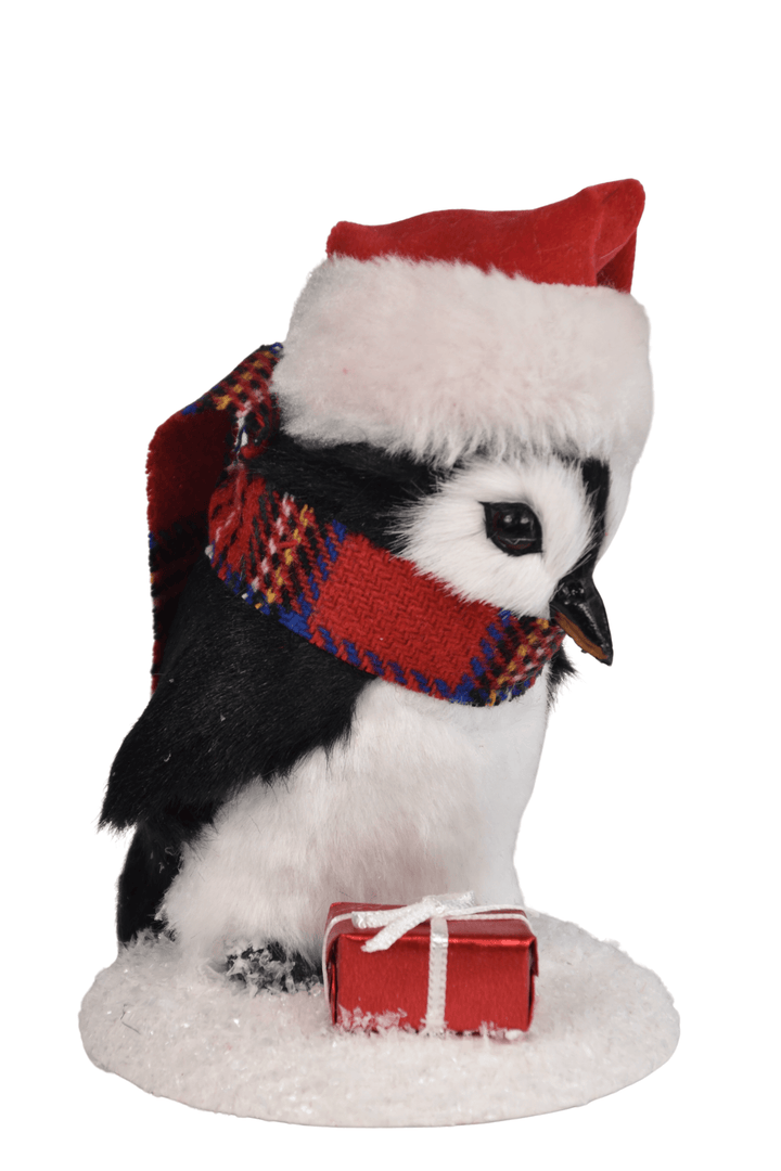 Penguin with Package