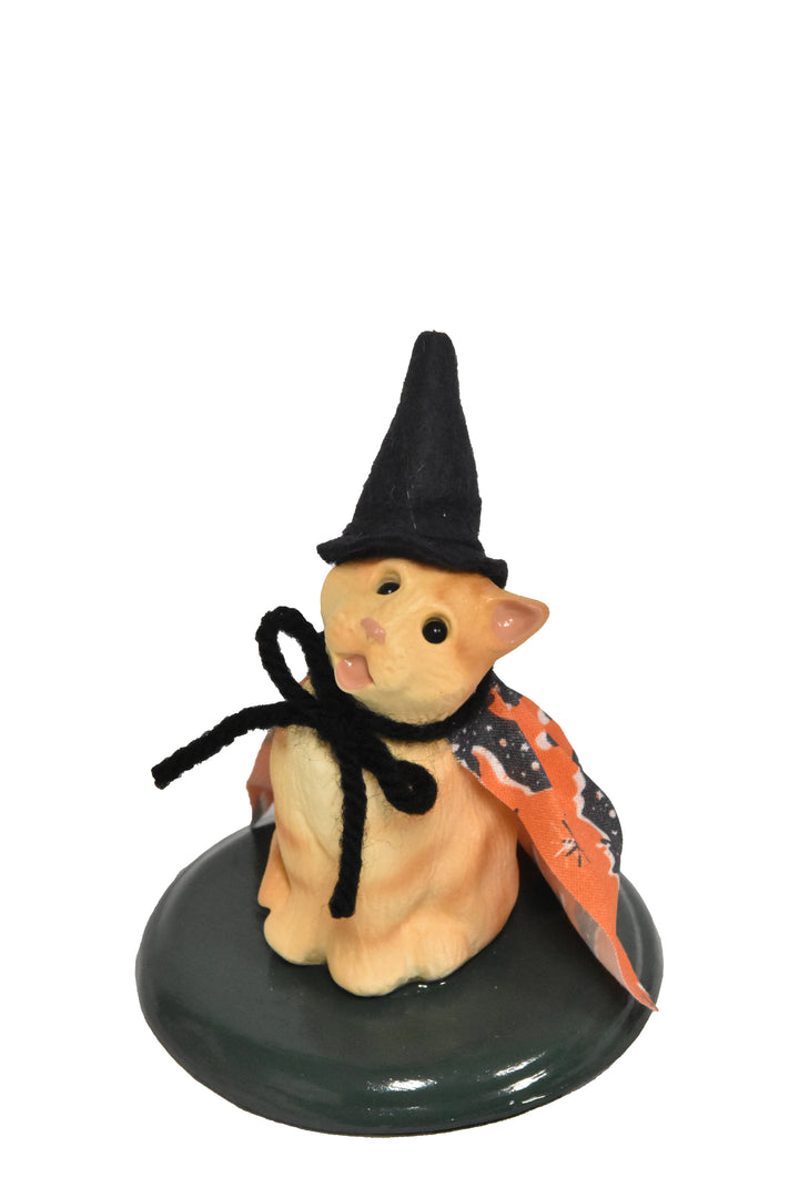 Tabby with Cape
