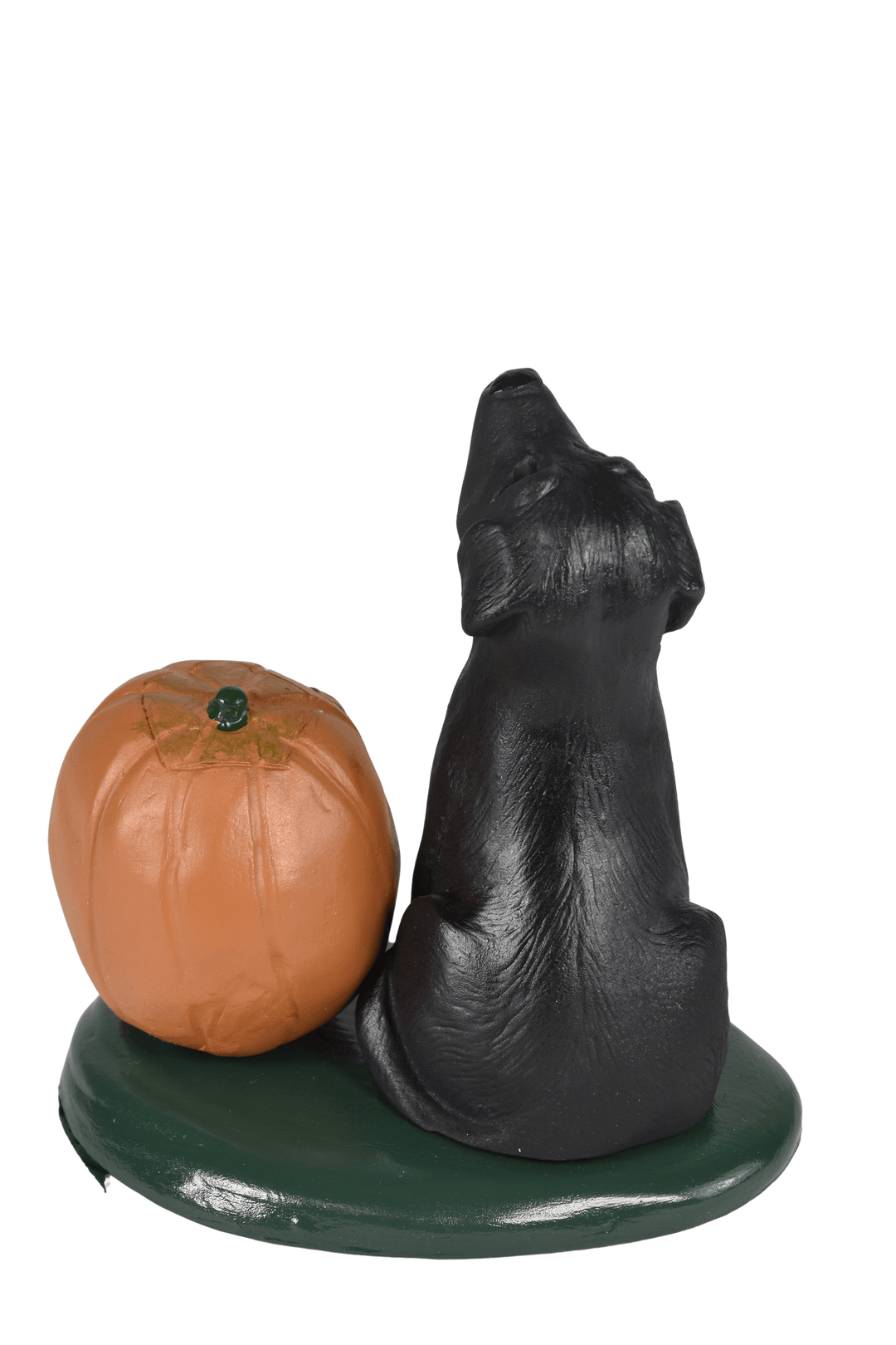 Black Lab with Pumpkin
