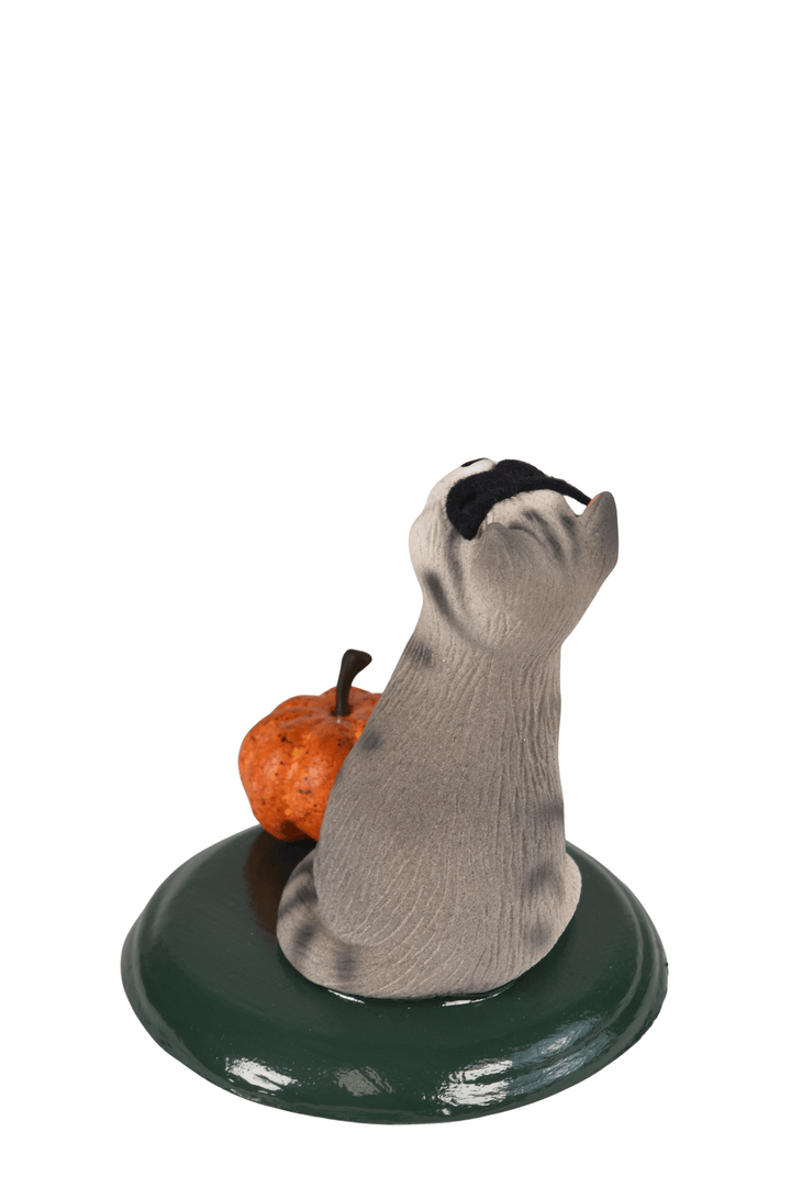 Grey Tabby with Pumpkin