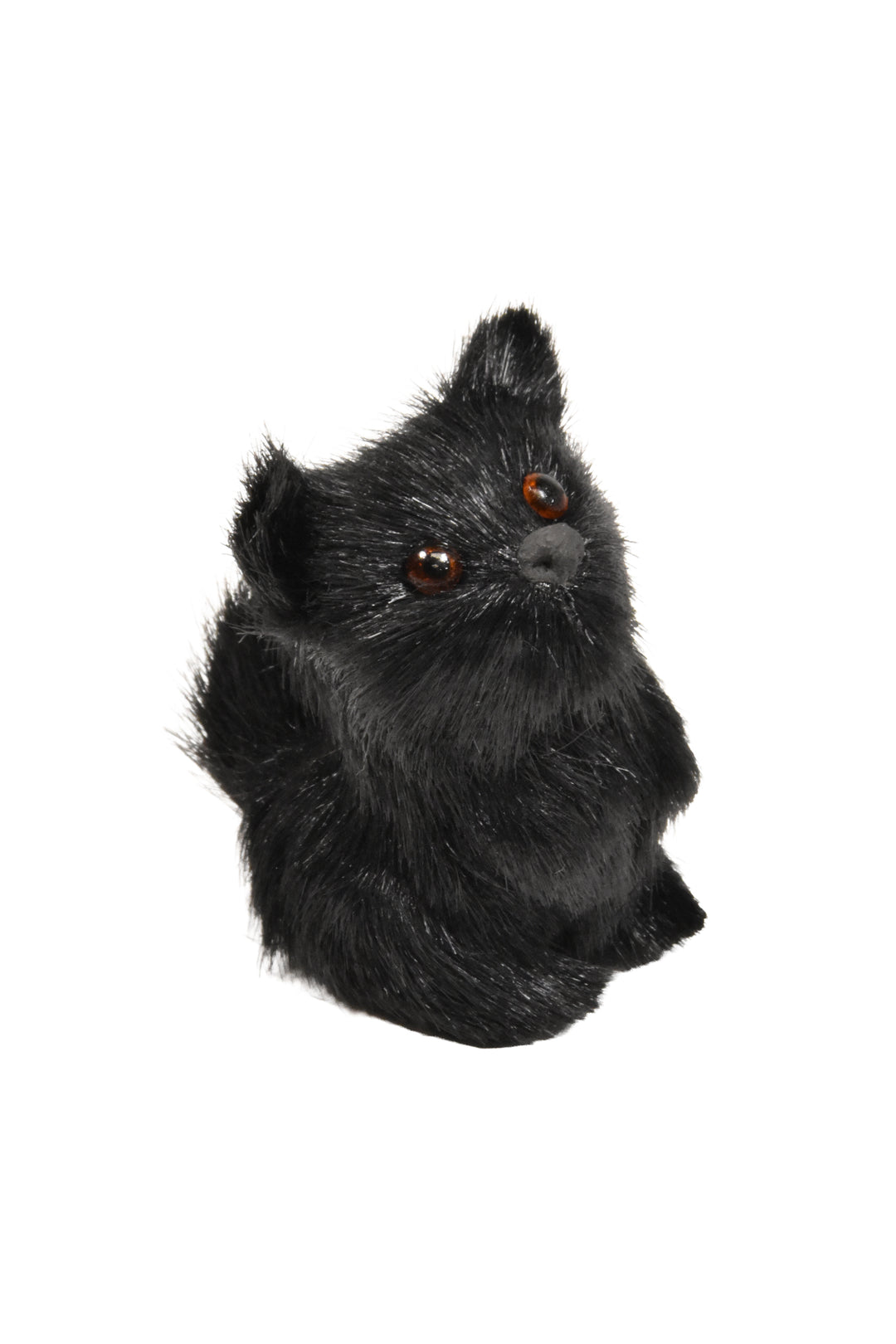 Furry Black Cat