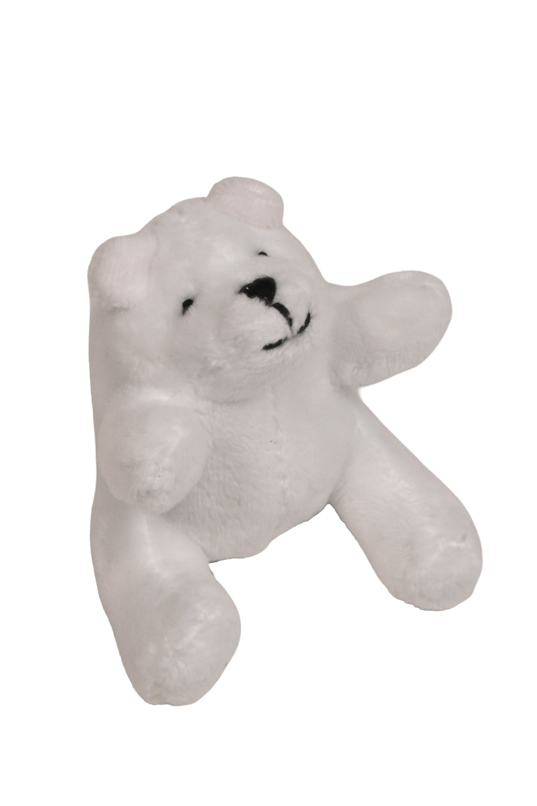 White Teddy Bear