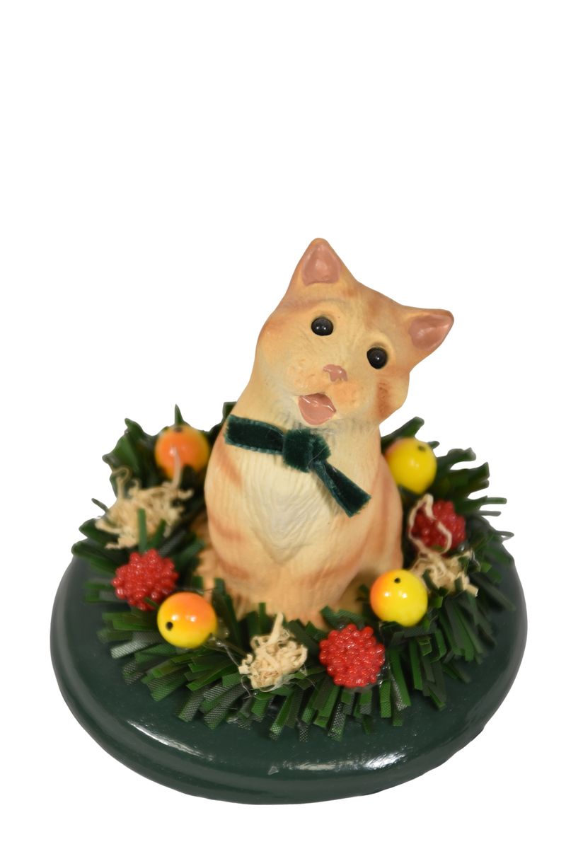 Orange Tabby Cat