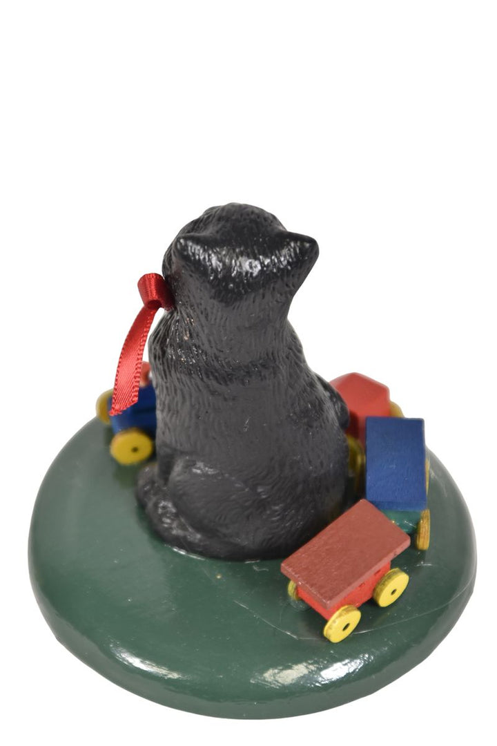 Cat with Train Set