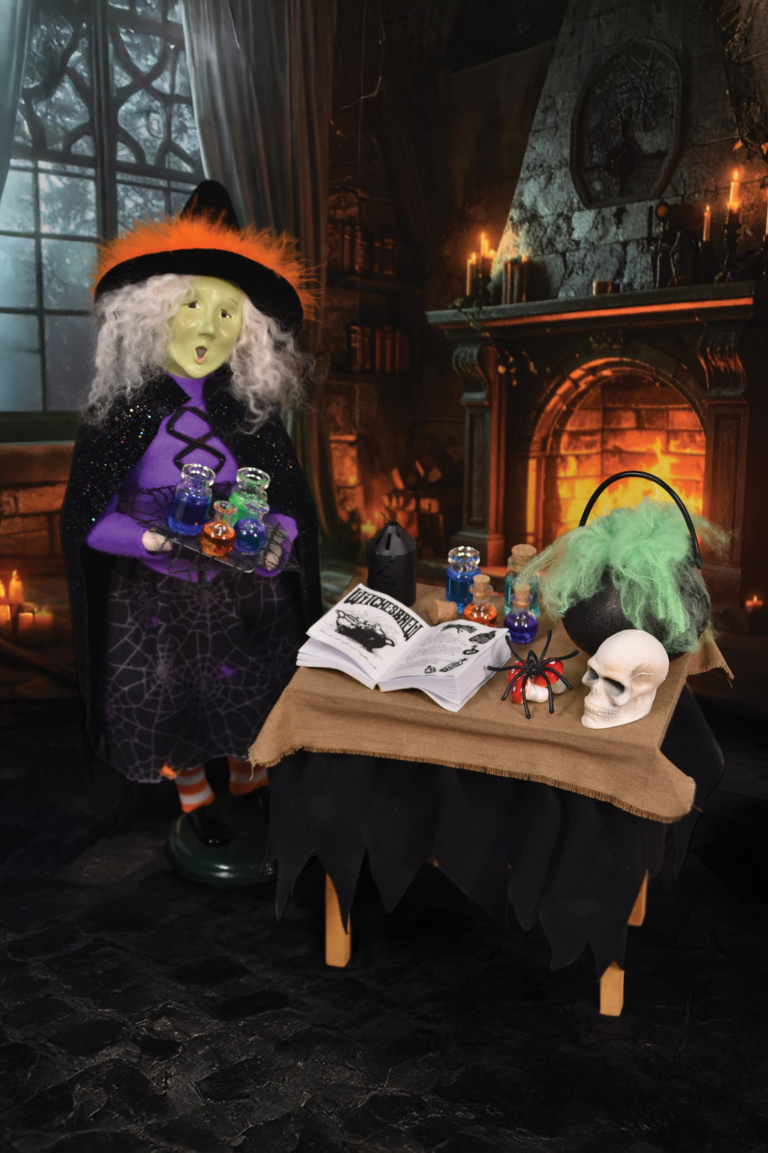 Potions Master Witch