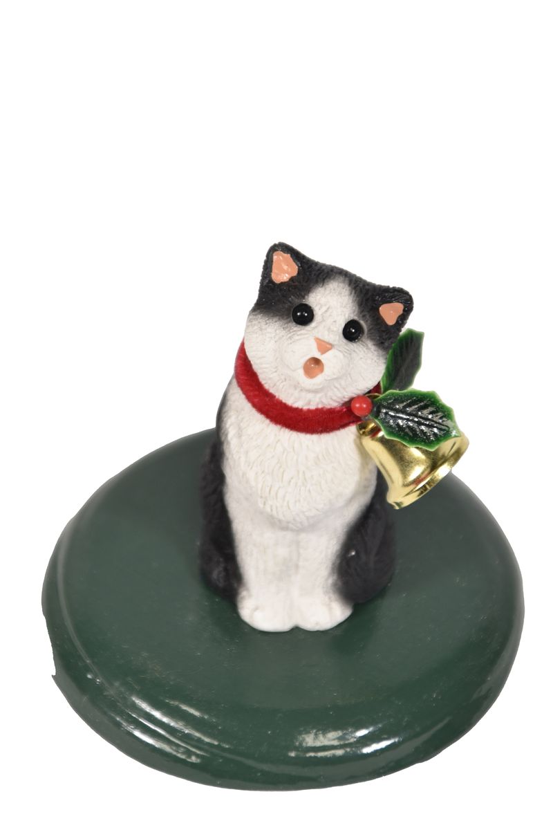 Grey and White Tabby