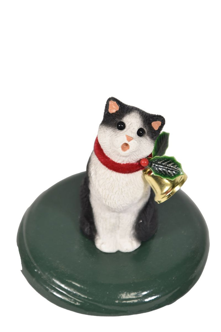 Grey and White Tabby