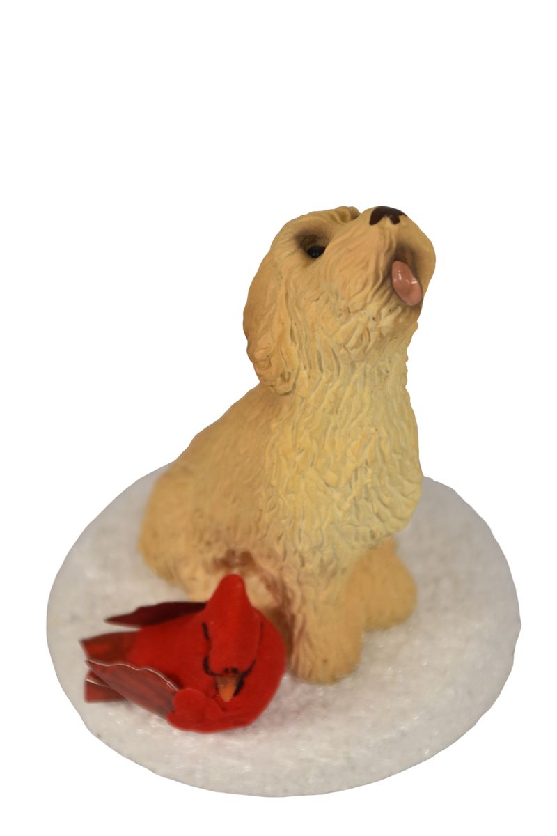 Golden Doodle with Cardinal