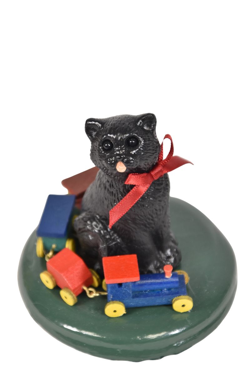 Cat with Train Set