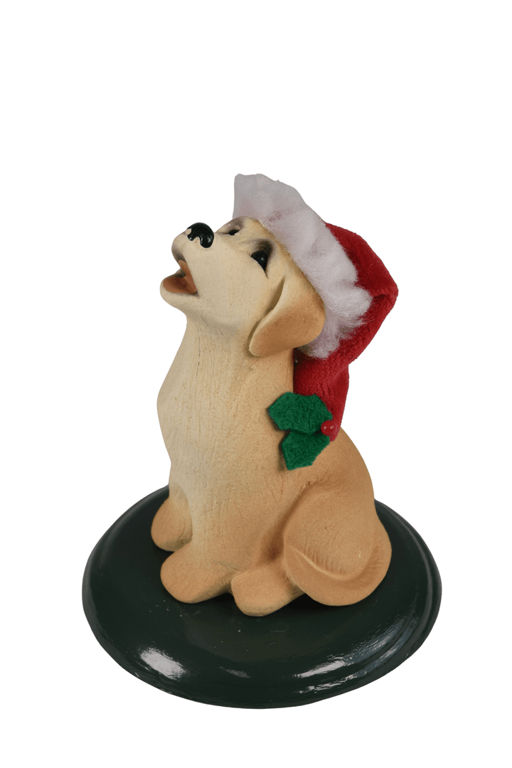 Yellow Labrador