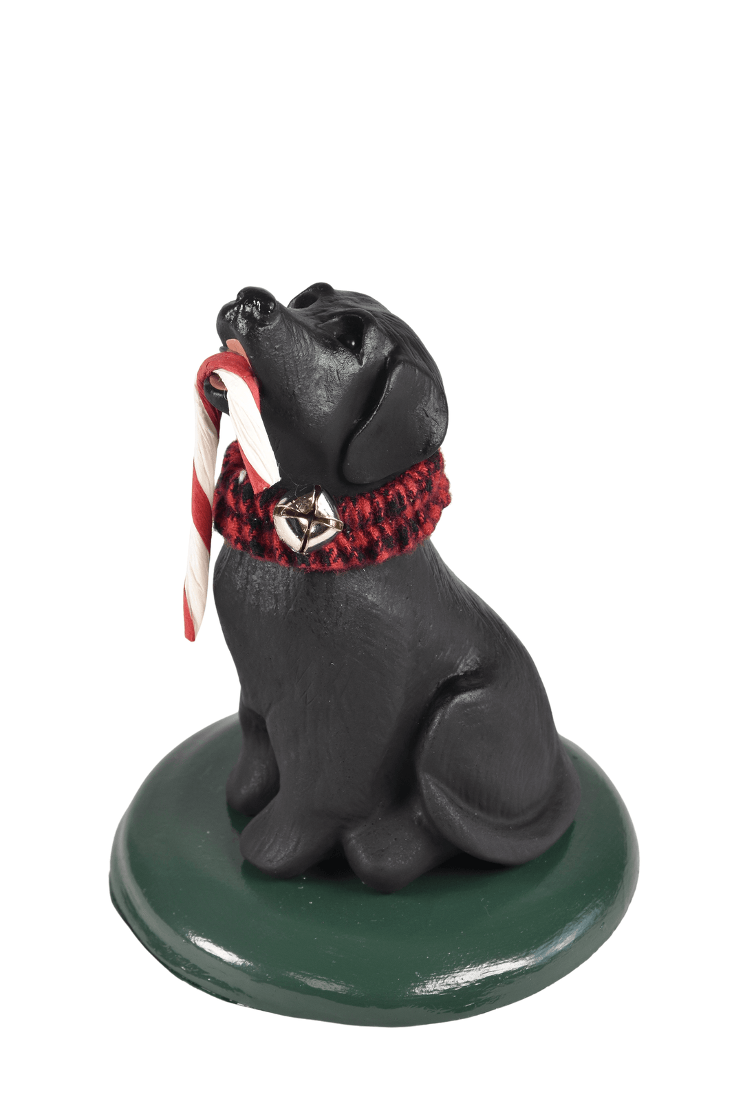 Black Labrador